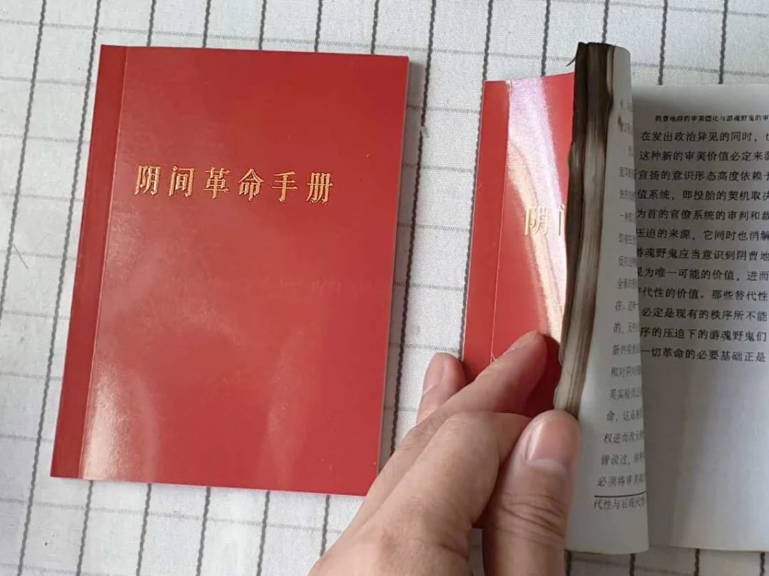 《阴间革命手册》及其内页